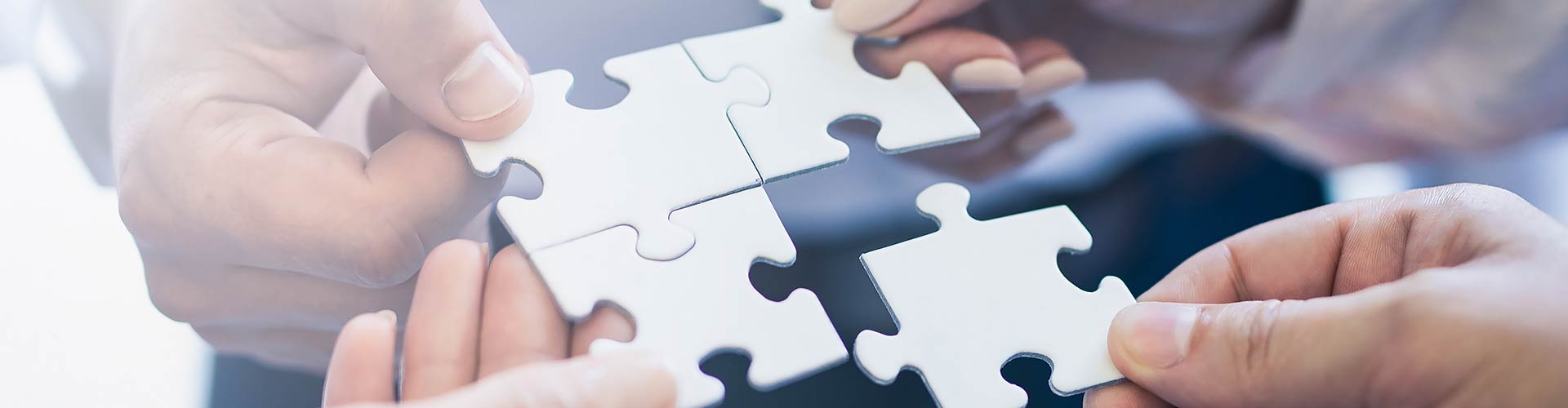 Umwandlung und Verschmelzung P.F.P. Law